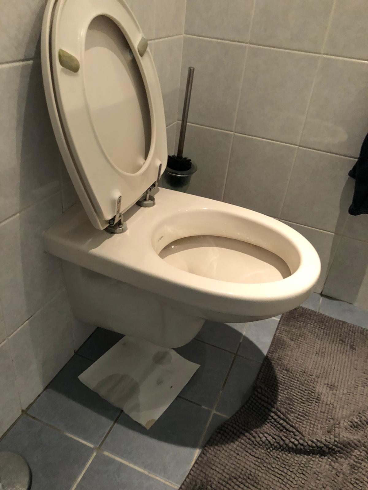 hangtoilet Voorhout